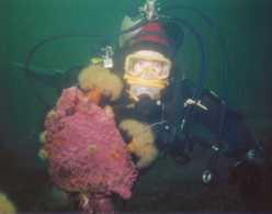 Chantal DeMers en plonge sous-marine en Gaspsie